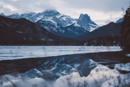 teapalm:  (Tasha Marie) | Kananaskisprints | instagram 