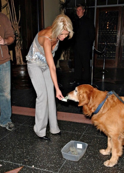 popculturediedin2009:  Tara Reid gives ฤ to a dog, January 2006 