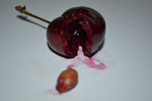 emBRYO