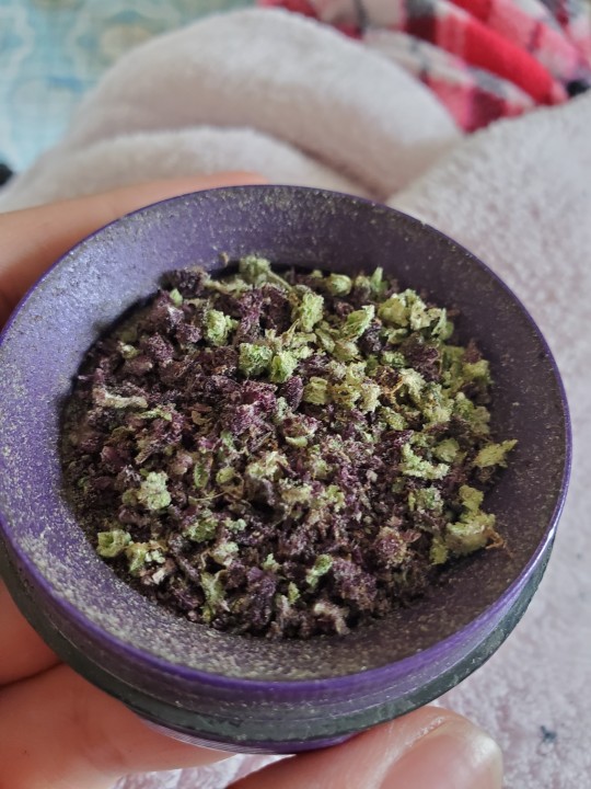 bre-is-stoned:I always love purple weed 
