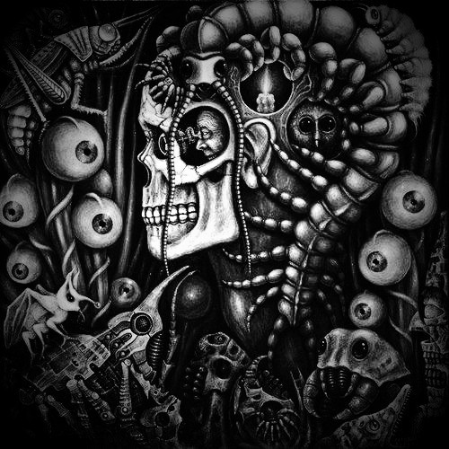 Samhain Shane