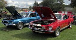 Muscle Cars Fans