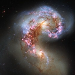 dryadgoddess:  just–space:  Antennae galaxies js