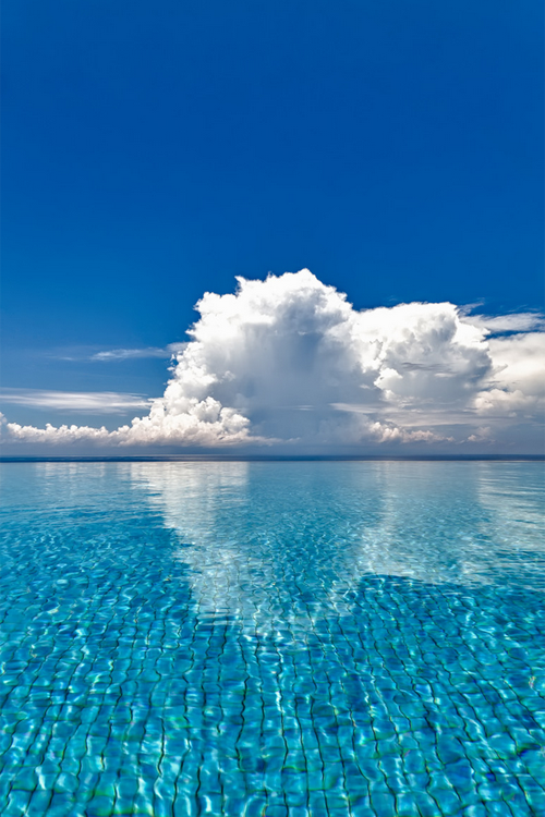 plasmatics:  Wet Edge [via/more] By Rachel Dulson 