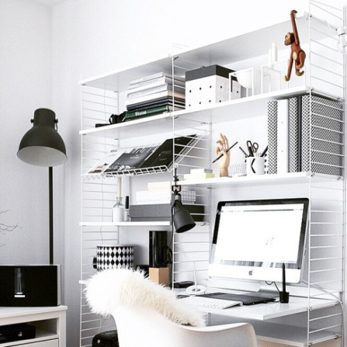 Daily Dream decor