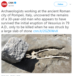 i-was-once-a–tortoise:  everything about this is fucking hilarious. i’m sorry, random pompeii man, but your death was some looney tunes bullshit and the framing of this photograph isn’t helping.
