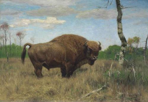 art-and-things-of-beauty:European Bisons by Wilhelm Kuhnert (1865 - 1926 