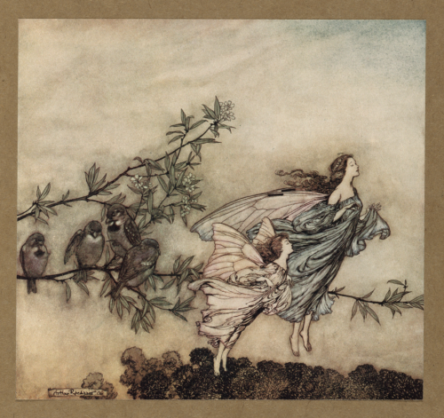 Illustrations by Arthur Rackham for Peter Pan in Kensington Gardens, 1906