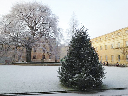 oupacademic:With 1 day ‘til Christmas I saw at OUP… The quad with a Christmas Tree!Happy Christmas E