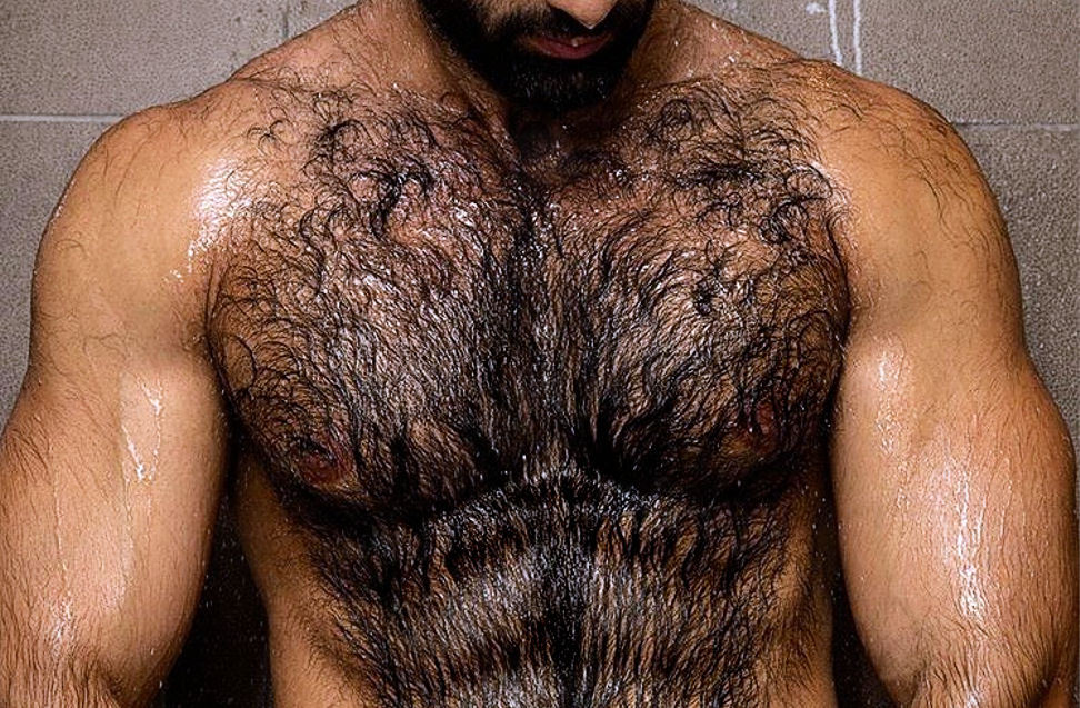 http://hairymacho.tumblr.com/
