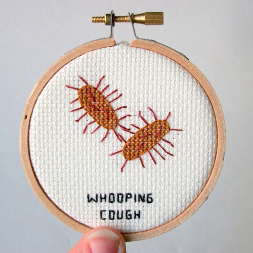 nevver:Cross-stitched MicrobesBlack Plague – if you’re looking for Yersinia Pestis, 