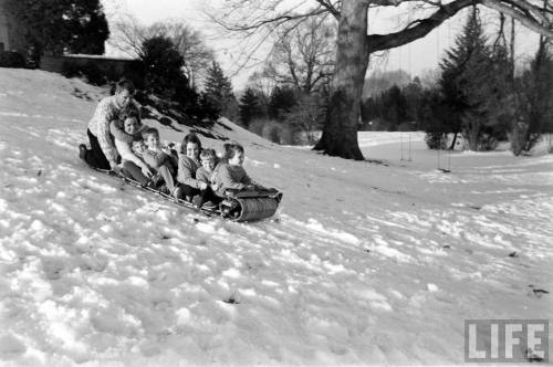 Robert Kennedy and family do some tobogganing (Edward Clark. 1960)