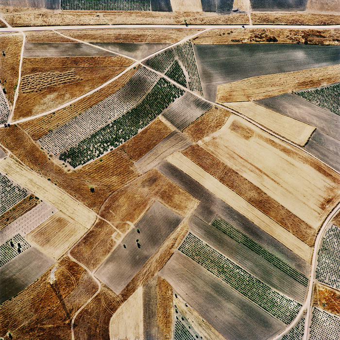 nevver:  Pattern recognition