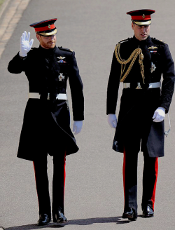 meghanmarklesmafia:  Price Harry, new Duke of Sussex, accompained by The Duke of Cambridge arrives at St. George’s Chapel on his Wedding day. || May 19th, 2018