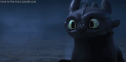 here-is-the-food:    How To Train Your Dragon