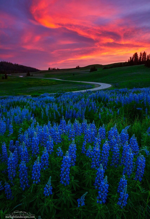Blue Flame ~ Utah, USA