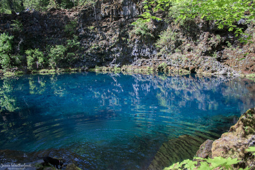 opticallyaroused:  Tamolitch Pool  This is part 3 (and the final part) of my McKenzie River Trail posts!   First I want to say this: The blue in the photos is completely untouched/un-enhanced. This is how the water photographed, and it’s even more