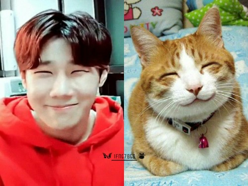 chimlight: I SEE NO DIFFERENCE 