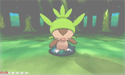 blackthorngym:In-battle footage for the new 6th generation Pokémon:Chespin, Fennekin, Froakie & 