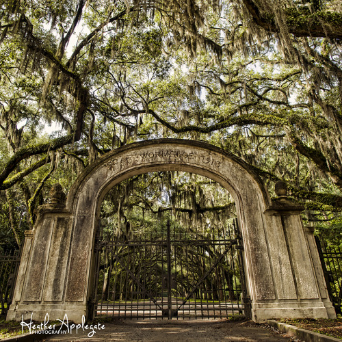 Entrance to Wormsloe Historic Site. Savannah, Georgia