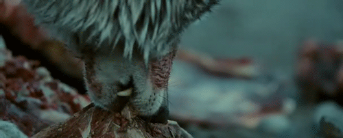 Deathowler's howls