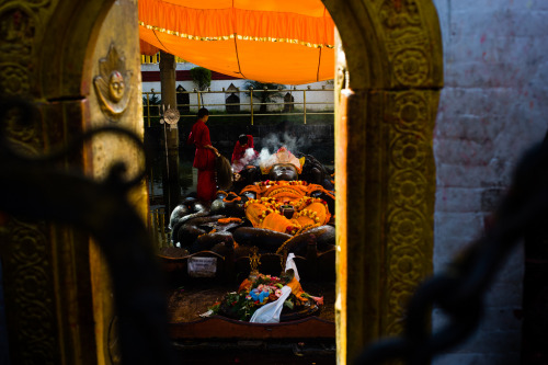 Bhudanikantha Narayana, Nepal