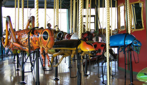 staceythinx:The Bug Carousel at the Bronx Zoo has all your favorite insects: a long-legged praying m