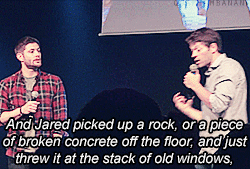 quantumbanana:  Jensen and Misha blaming Jared for breaking things onset [video]