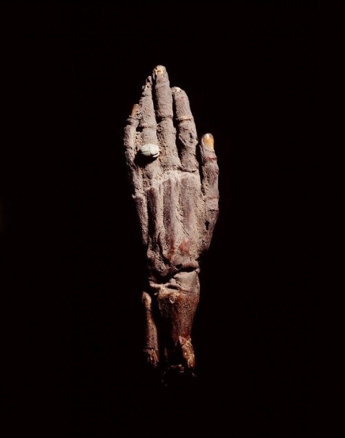 ancientpeoples:Mummy hand (left) Left hand of a young boy (between 2 and 4 years old). Linnen has be
