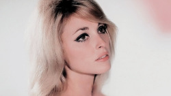  Sharon Tate photographed by Pierluigi Praturlon, 1966.   