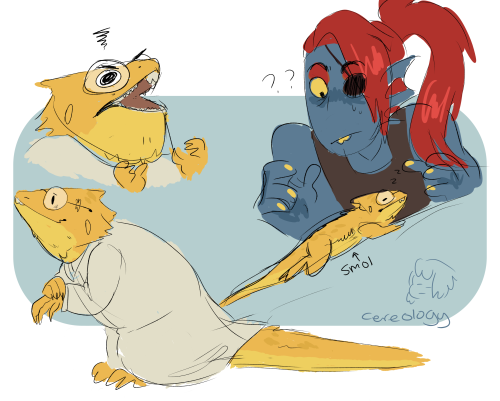 cereology:  ok but………………………………….bearded dragon alphys 