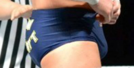 My Favorite WWE Bulges! 