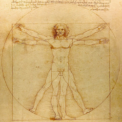 lonequixote:  Vitruvian Man by ​Leonardo