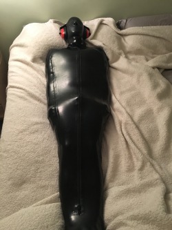 gaggedforhim:  pupzathin:  Spent about 1.5 hrs in my latex sleepsack, locked my cb6k with small spikes, and locked in my heavy Blackstyle hood with nose tubes only :)  This looks like SO MUCH fun :-D 