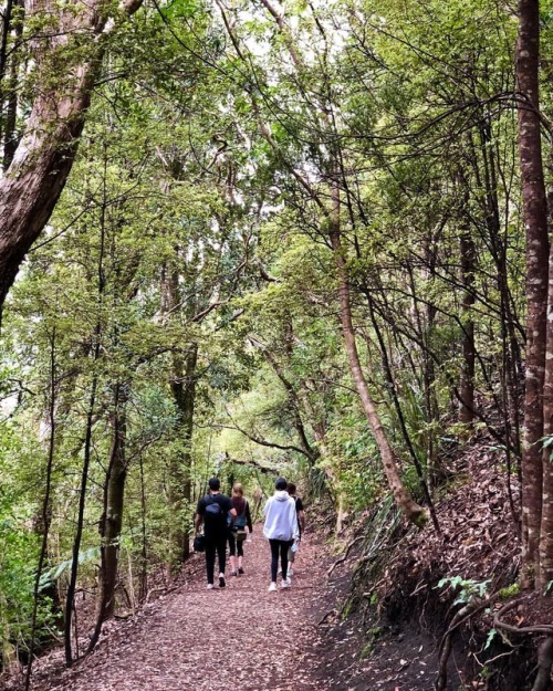 zackcloudhall: Morning Hike (@ Rangitoto Island)