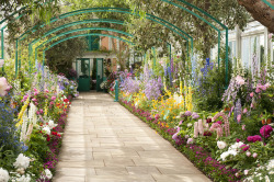 floralls:    Monet's Garden by The New York
