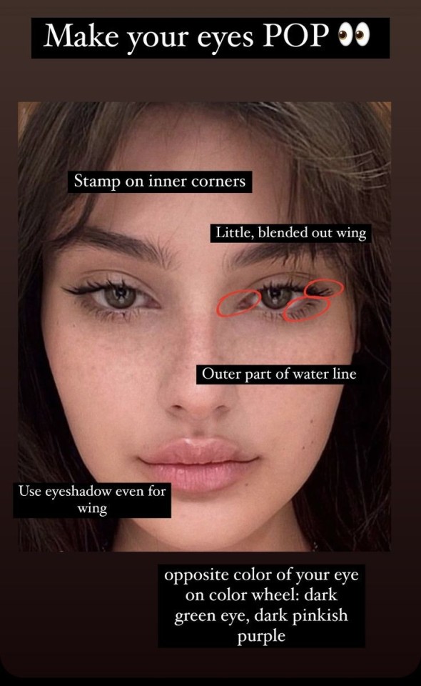 Tumblr media