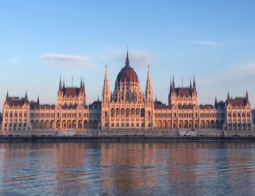 infected:Budapest,  Hungary, photo by  Sam