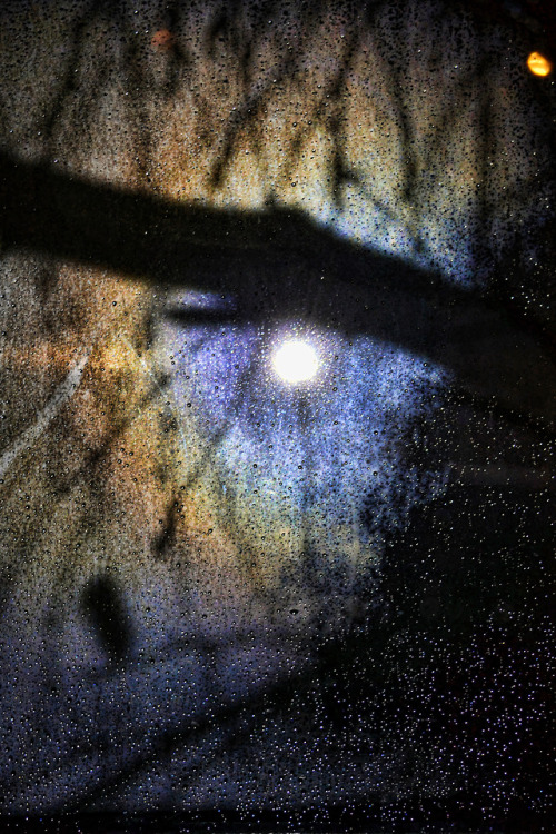 Nocturnal Mood
