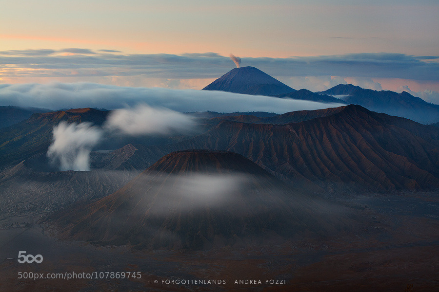 random-photos-x:  The beginning by AndreaPozzi. (http://ift.tt/1P53Sf2)