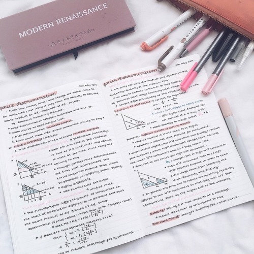 mlykstudy:microeconomic notes today ft new modern renaissance palette and a peak into my pencil case