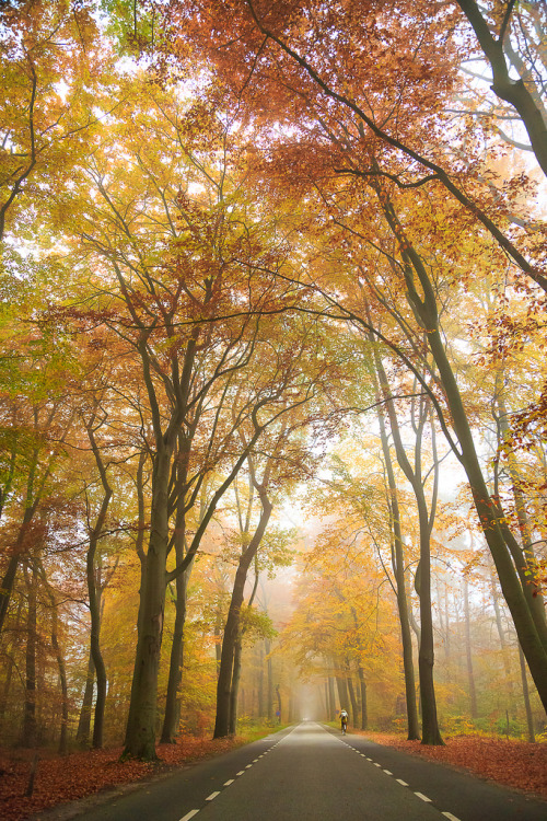 wanderthewood: Delden, Overijssel, Netherlands by Michael Angelo 77