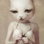 kittyprxtty