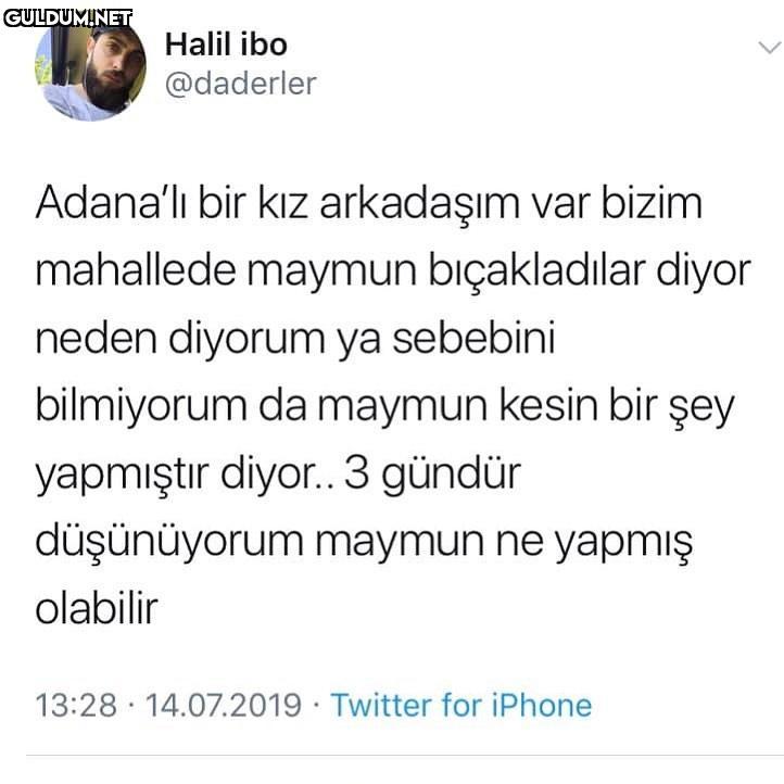 Halil...