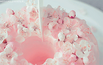 minnie-kittie:“벚꽃 쉬폰 케이크” Cherry Blossom Chiffon CakeVideo ©: ☆✧・ﾟ:* Send me requests here! *:・ﾟ✧ ✘ 