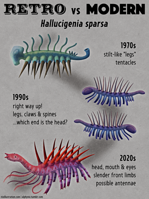 alphynix: Retro vs Modern #09: Hallucigenia sparsaIf just one single species had to represent how ou