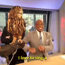 hobolunchbox:  Al Roker sings-a to an owl.  