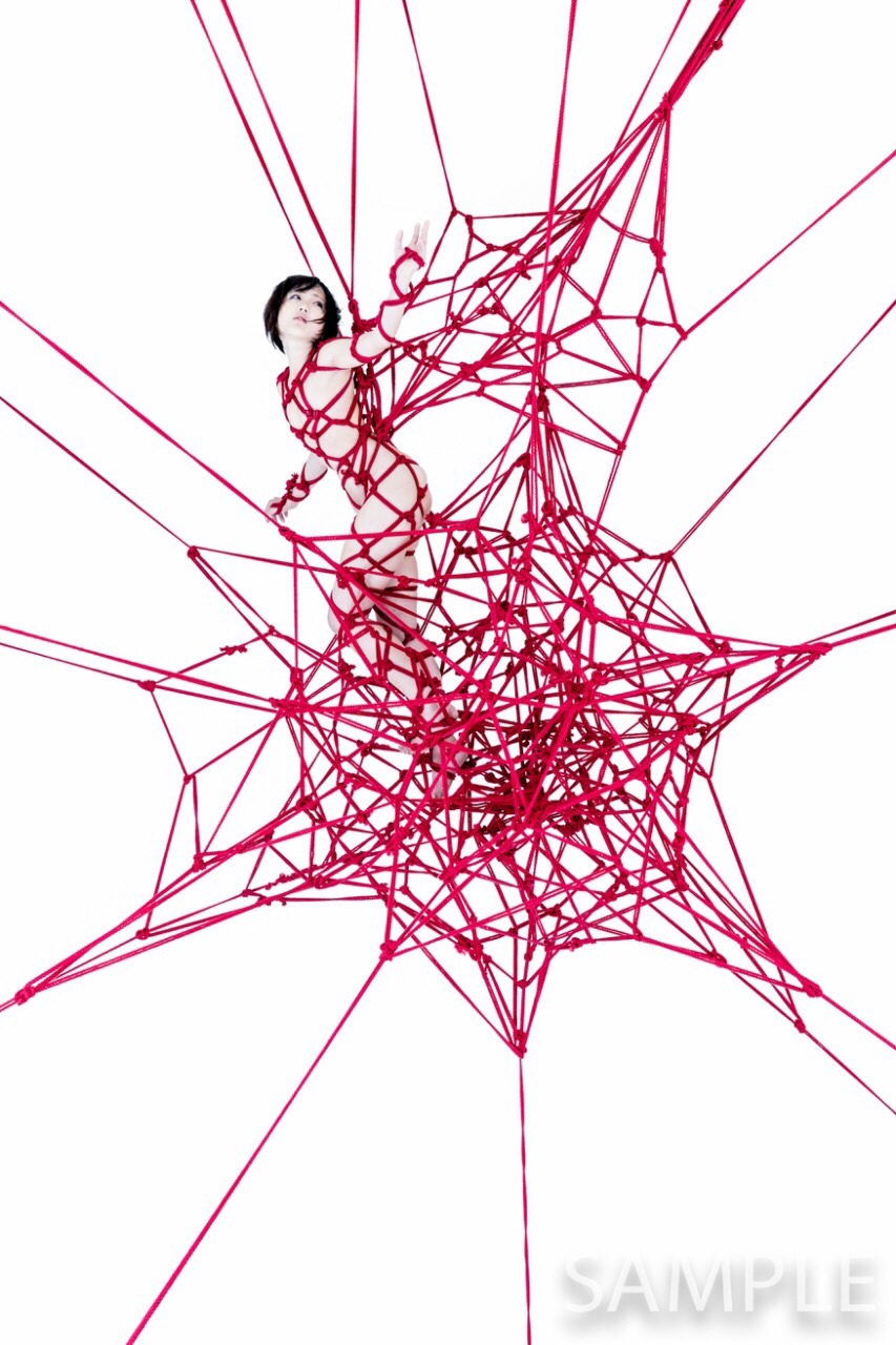 hajimekinoko:  I will do my exhibition “Red” in Baltimore. 5/5-14 This series