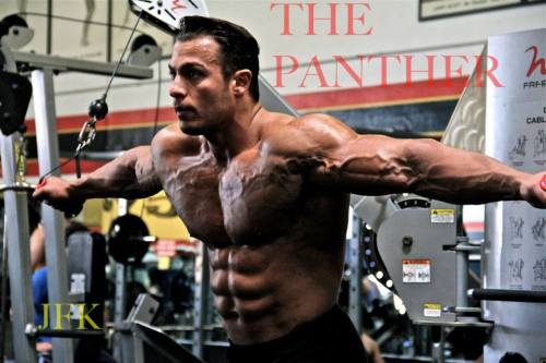 cdnlifter27:  Johan Fehd Karouani 