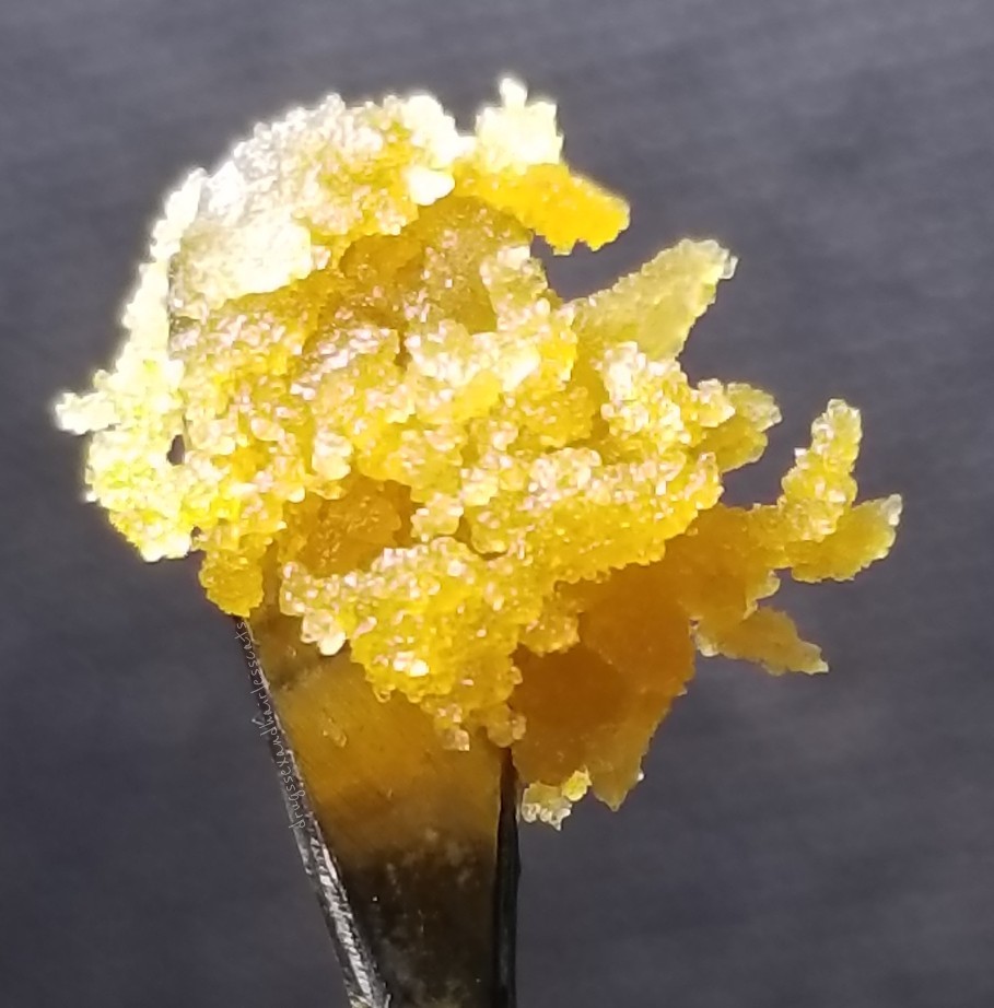 drugssexandhairlesscats:   Cookie Breath crumble🍪 